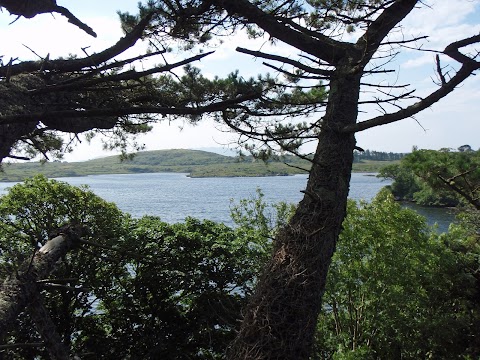 Clifden Monastery Walled Garden