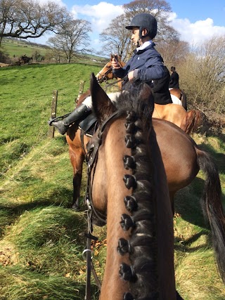 Lough Key Equestrian