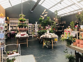 Carewswood Garden centre & cafe