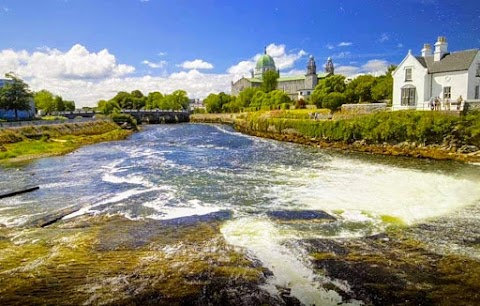 Salmon Weir Bridge