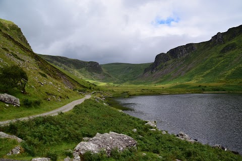 Paddy's Palace - Dingle Peninsula