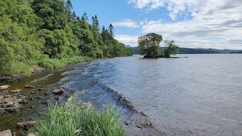 Hazelwood Forest