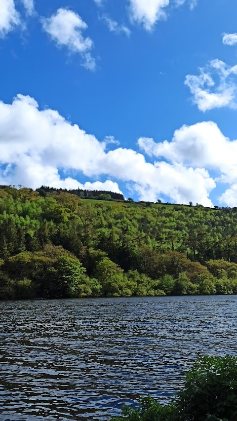 Curraghalcky Lake Viewing Point