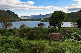 Killorglin Outdoor Education and Training Campus