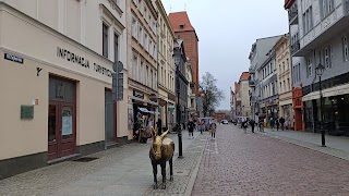 Toruń Tourist