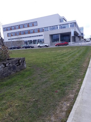 Local Enterprise Office Roscommon