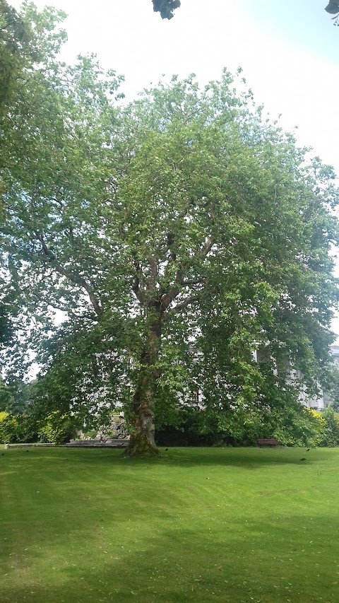 Lifford Road Playground