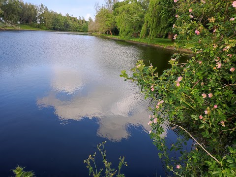 The Atlantic Pond