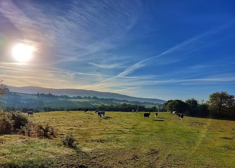 Mount Brandon self-catering holiday cottages, Kilkenny