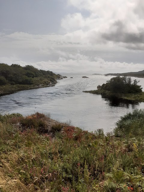 Castlecove Beach