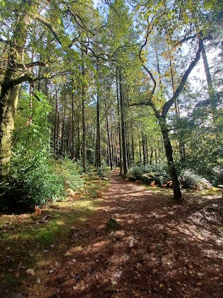 Glengarra Wood Forest Recreational Area