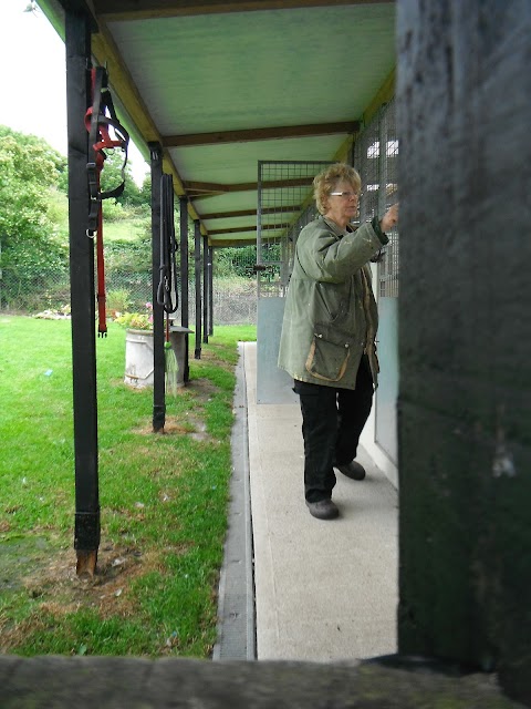 Country Dogs Boarding Kennels and Cattery