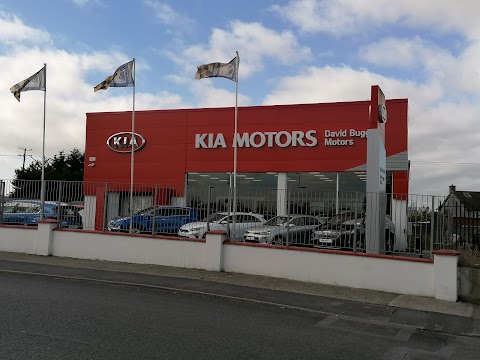 David Buggy Kia Motors Limited