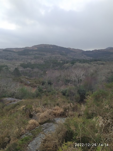 Glengarriff Woods Car Park(Carrchlós Coiltte Gleann Garbh)