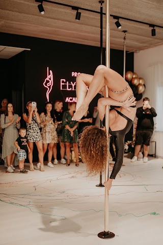 Pro Flying Academy - Pole Dance