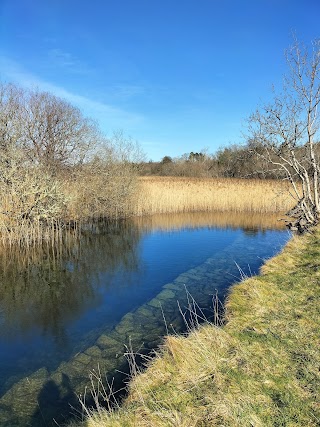 Clonbur Wood Car Park