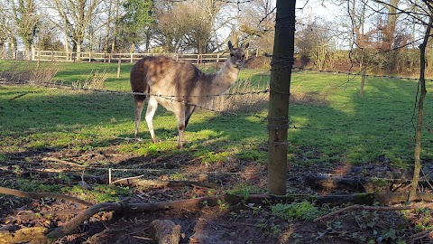 Newpark Marsh Park