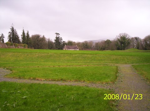 Drishane Castle