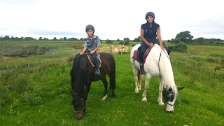 Castlefergus Riding Stables