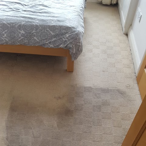 Carpet Cleaning Cork