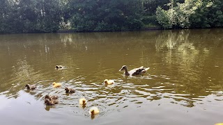 Brittas Lake