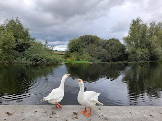 Picnic Area