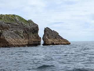 Tralee and Brandon Bay Eco-Marine Tours