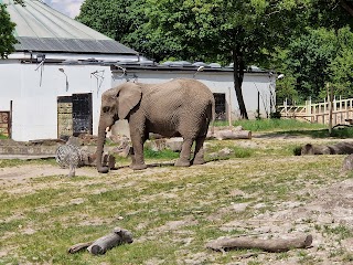 Miejski Ogród Zoologiczny im. Antoniny i Jana Żabińskich w Warszawie