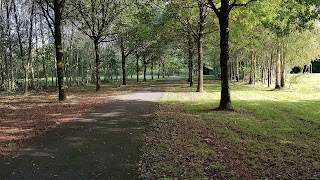 Demesne Playground