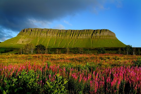 Benbulben Court