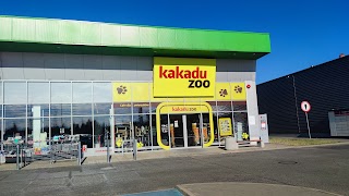 Kakadu. Sklep zoologiczny