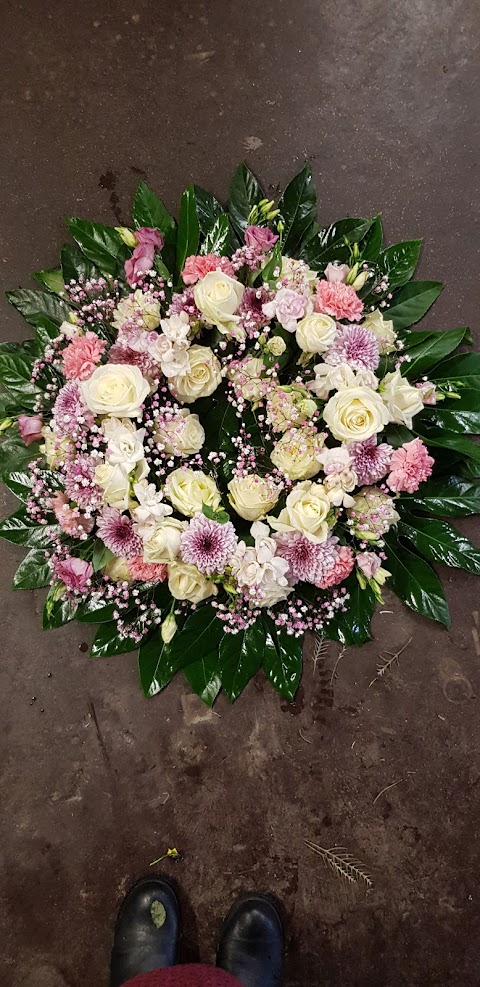 Achill Island flowers