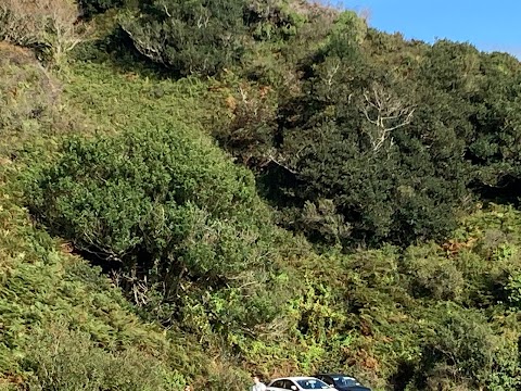 Lough Hyne Nature Reserve