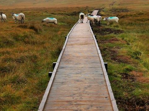 Erris Head Loop Walk