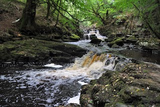 Cathole Falls