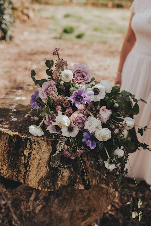 Clonakenny Flower Farm- collection only