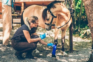 Wetfarma. Hurtownia leków weterynaryjnych i materiałów medycznych