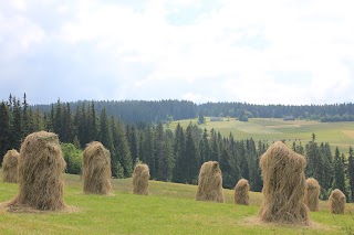 Cracow Local Tours Krakville