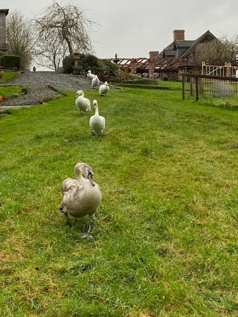 Lawcusfarm Guesthouse