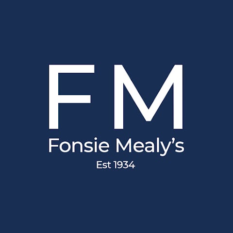 Fonsie Mealy's - Fine Art & Rare Books R95 XV05