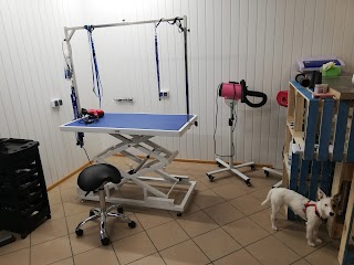 Pet Wellness Place - fryzjer psów i kotów, behawiorysta.