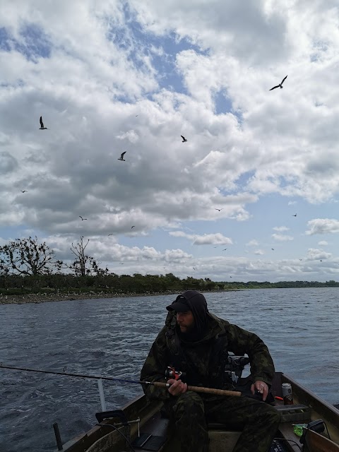 Lough Ree Boat Tours