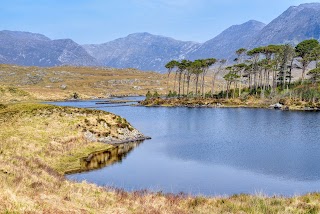 Pines Island Viewpoint