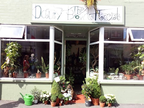 Daisy Bowl Florists