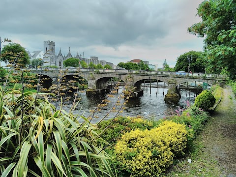 Salmon Weir Bridge