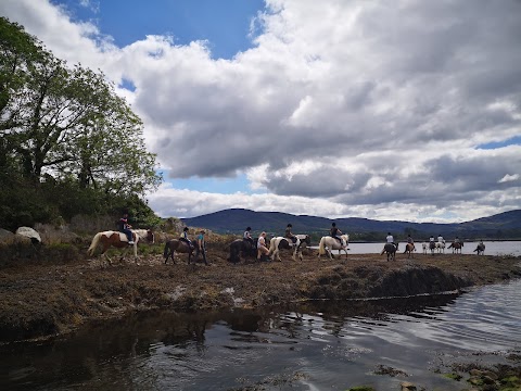 Dromquinna STABLES