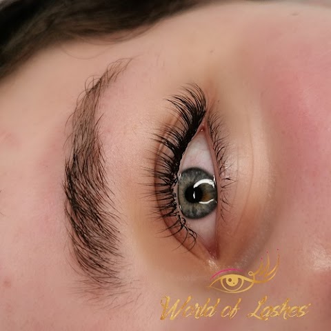 World of Lashes Eyelash extension service