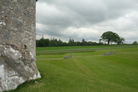 Drishane Castle