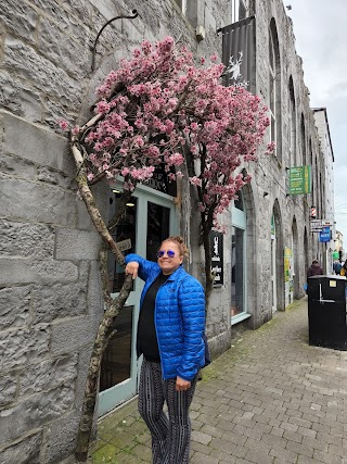 Fields the Jeweller, Galway