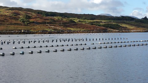 Mussel Farms